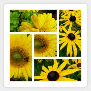 COLOUR ME SUNFLOWER YELLOW Sticker